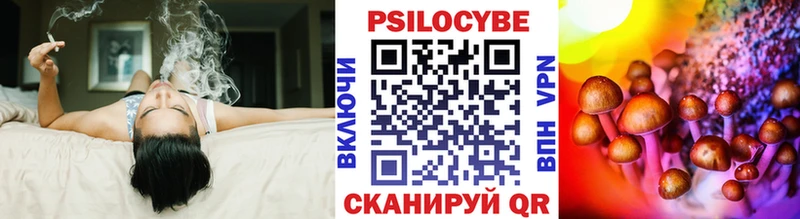 Псилоцибиновые грибы Cubensis  Адыгейск 